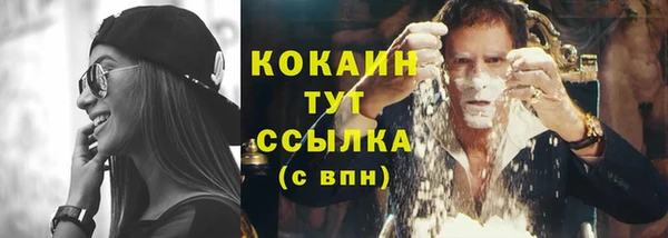 тгк Нея
