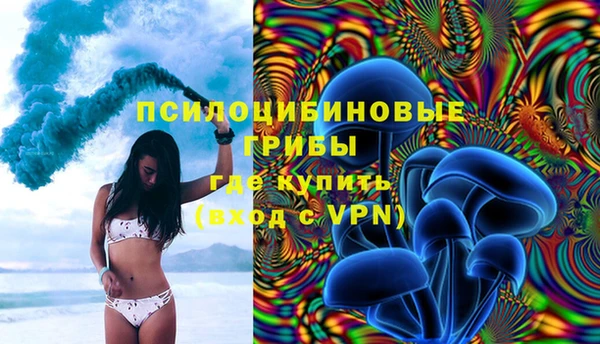 стаф Нефтекумск