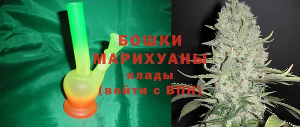 тгк Нея